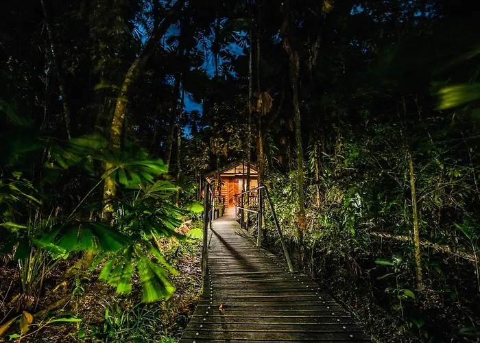 Daintree Wilderness Lodge