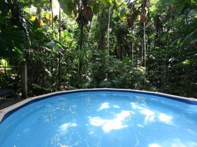 Resort Wilderness Daintree