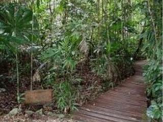 Wilderness Resort
