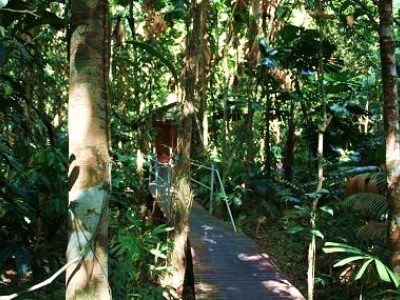 Wilderness Resort Daintree