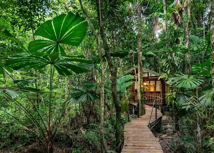 Daintree Wilderness Lodge