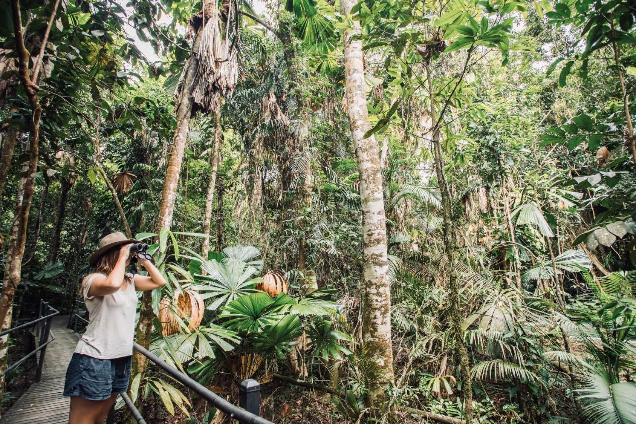 Wilderness Resort Daintree