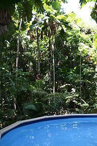 Wilderness 3* Daintree