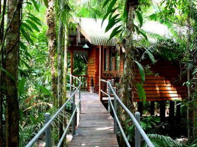 Wilderness Daintree